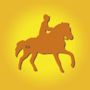 Bernsteinreiter GmbH Logo