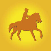 Logo von Bernsteinreiter GmbH
