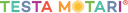 TESTA MOTARI GmbH Logo