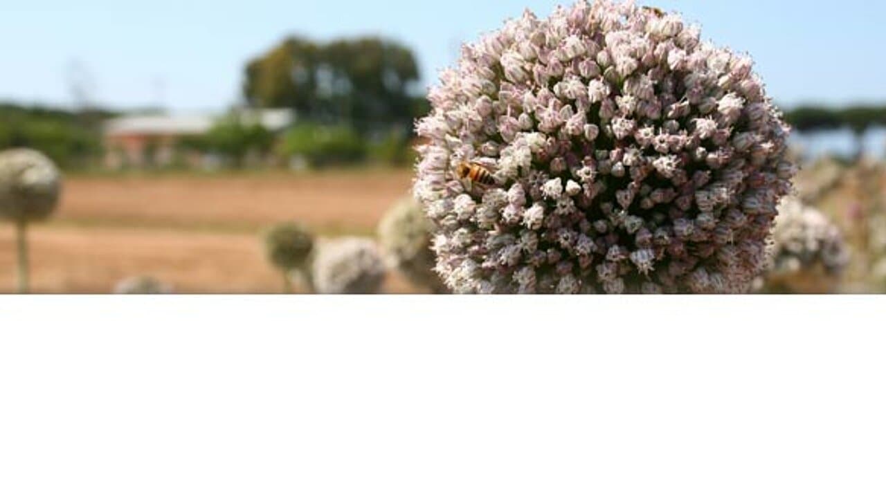 Logo von dennree GmbH
