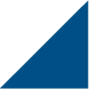 Mnt Logo