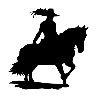 Logo von Picari Studio
