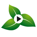 Pfeffermind Logo