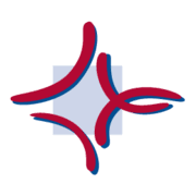 Logo von Katholische Hochschule Mainz