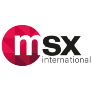 Logo von MSX International