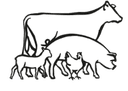 Schröders Bio Fleisch- und Wurstwaren Katharina Schröder GmbH Logo